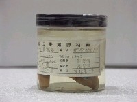 藏品(青嘴龍占)的圖片